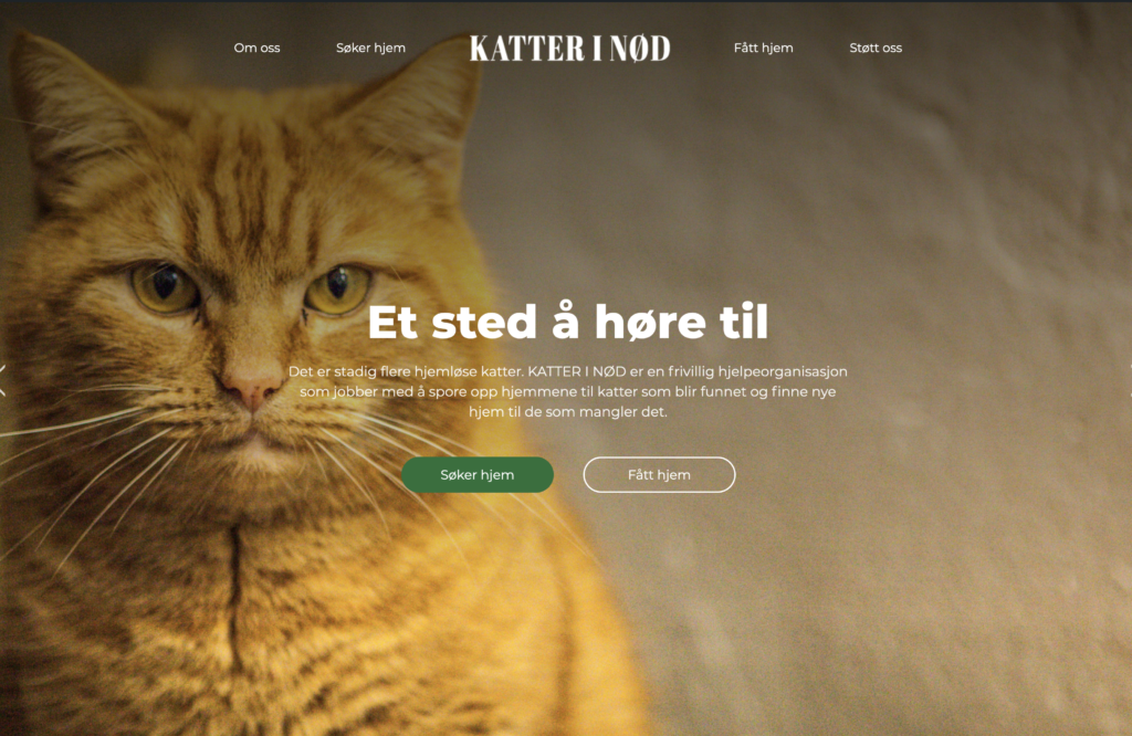 KATTER I NØD - KATTER I NØD