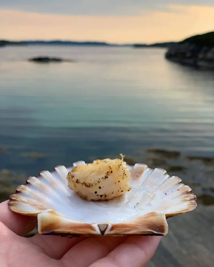 Bud Camping - Campingplass i Bud ved Hustadvika