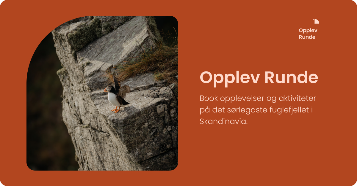 Opplev Runde - Book opplevelser og aktiviteter på Runde
