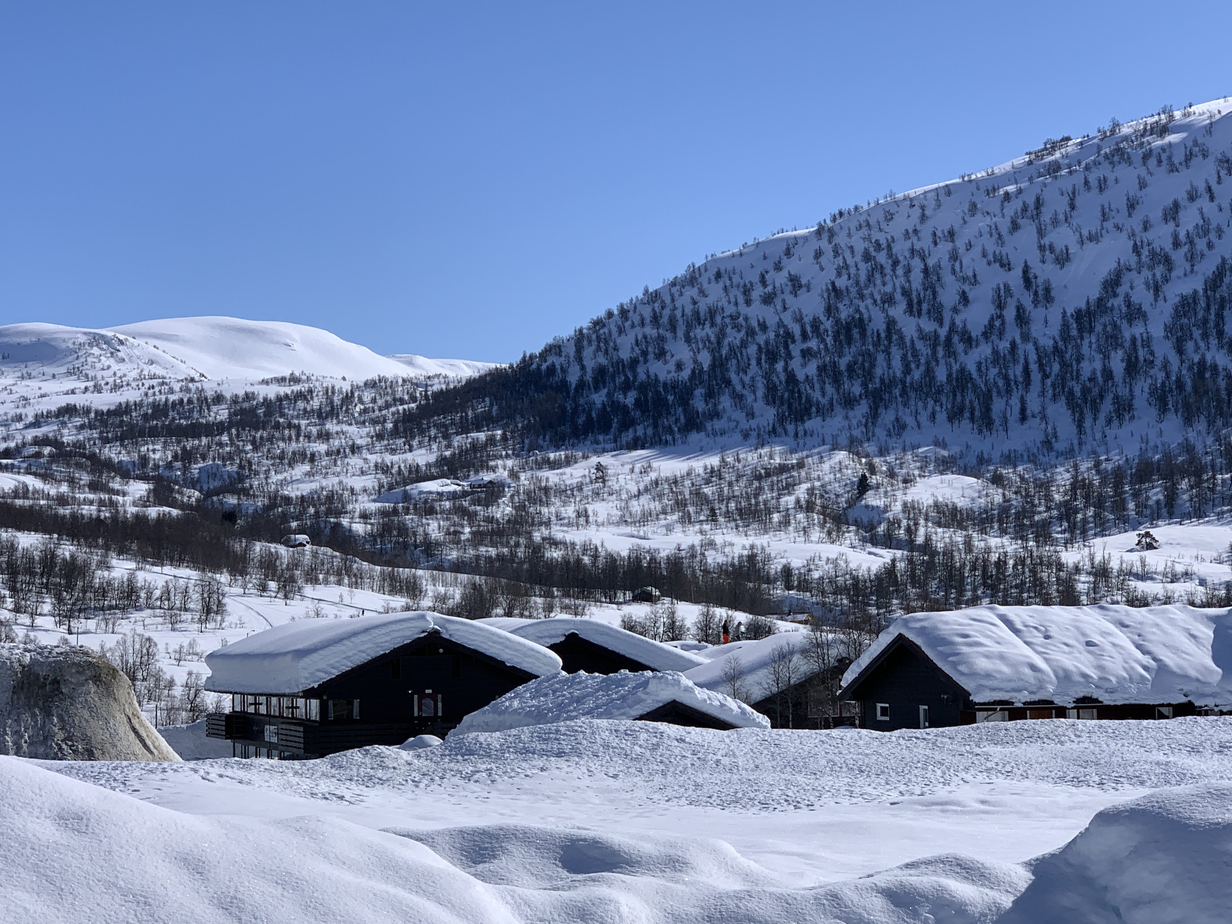Heim | Helgatun fjellpensjonat