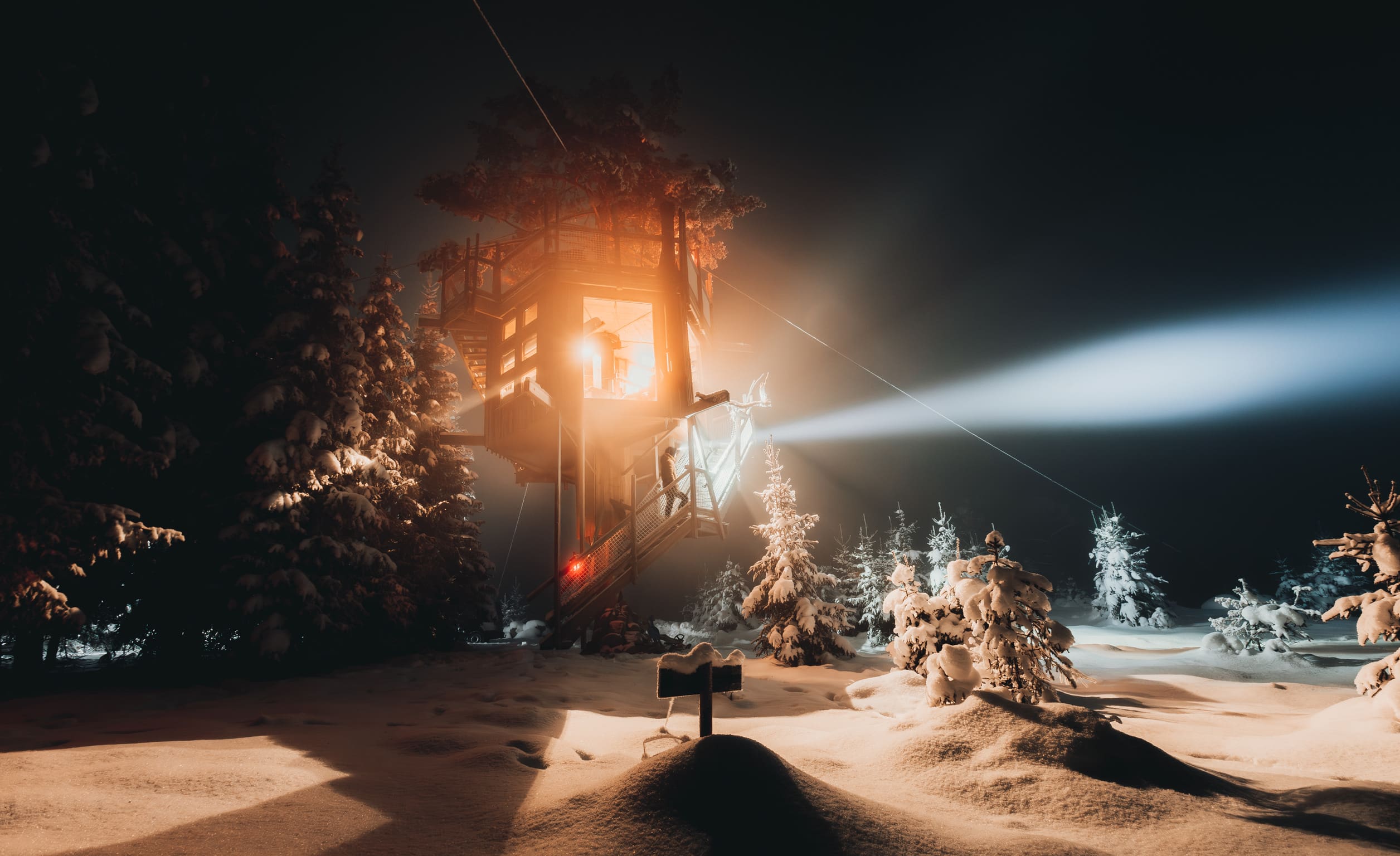 Tretopphytter - 7 unike og ekte tretopphytter i Ringsaker