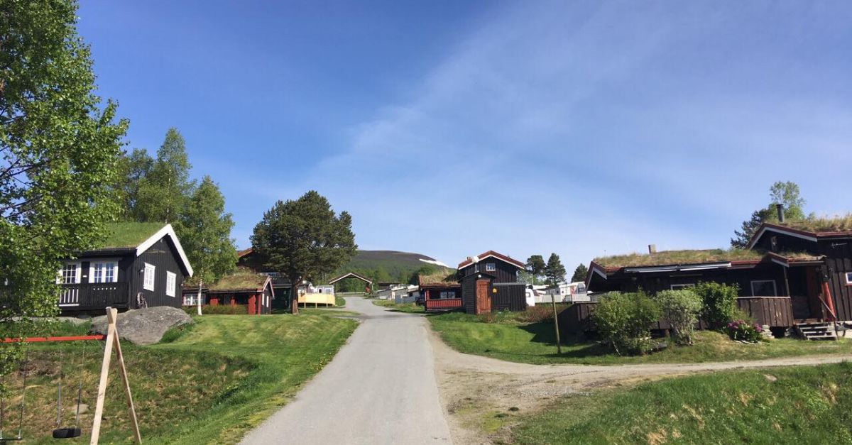 Hjem | Breesgård Turistsenter AS