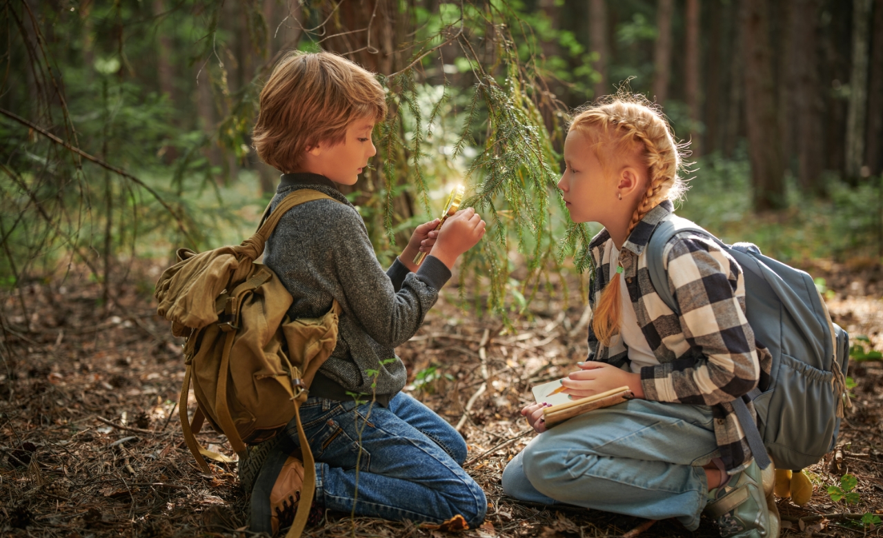 Sparebankstiftelsen Sparebanken Norge