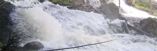 Hovedside - Bakkan Regnskap AS