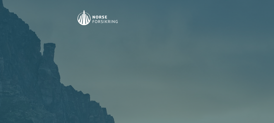 Norseforsikring - Spesialist på kunst og verdisakforsikring