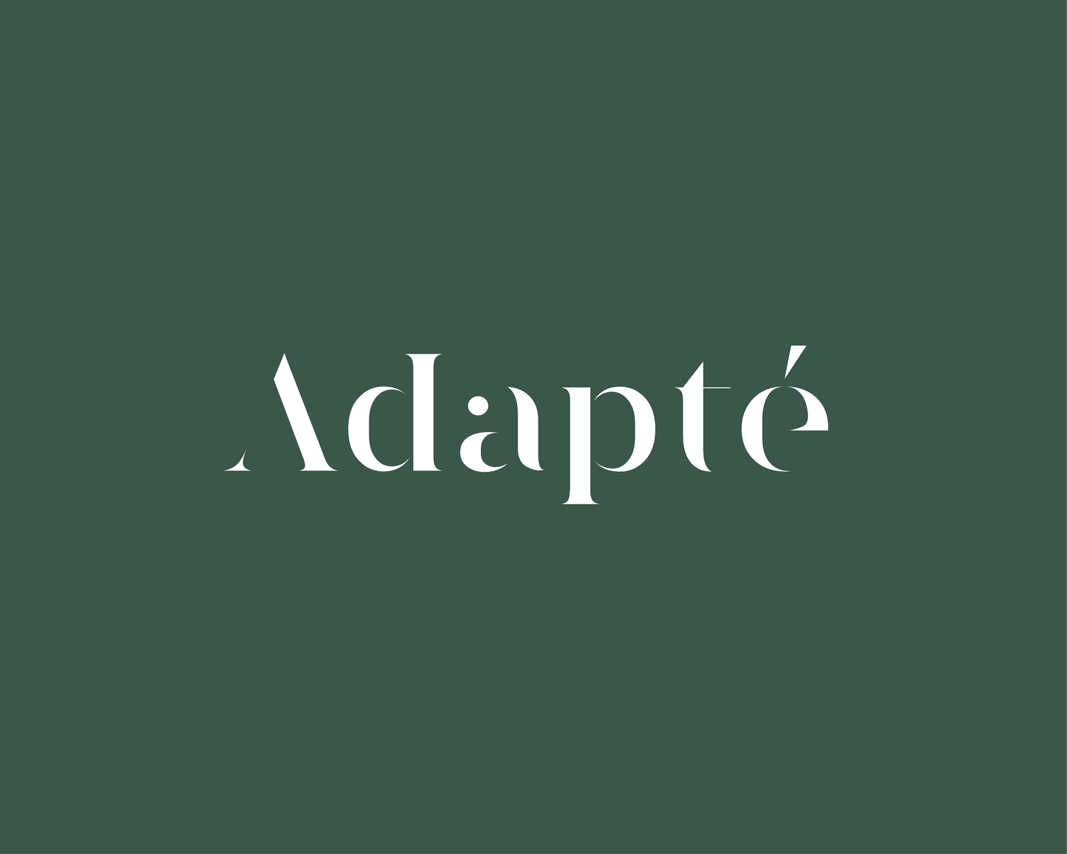 Adapté - et kreativt byrå for content og digital markedsføring