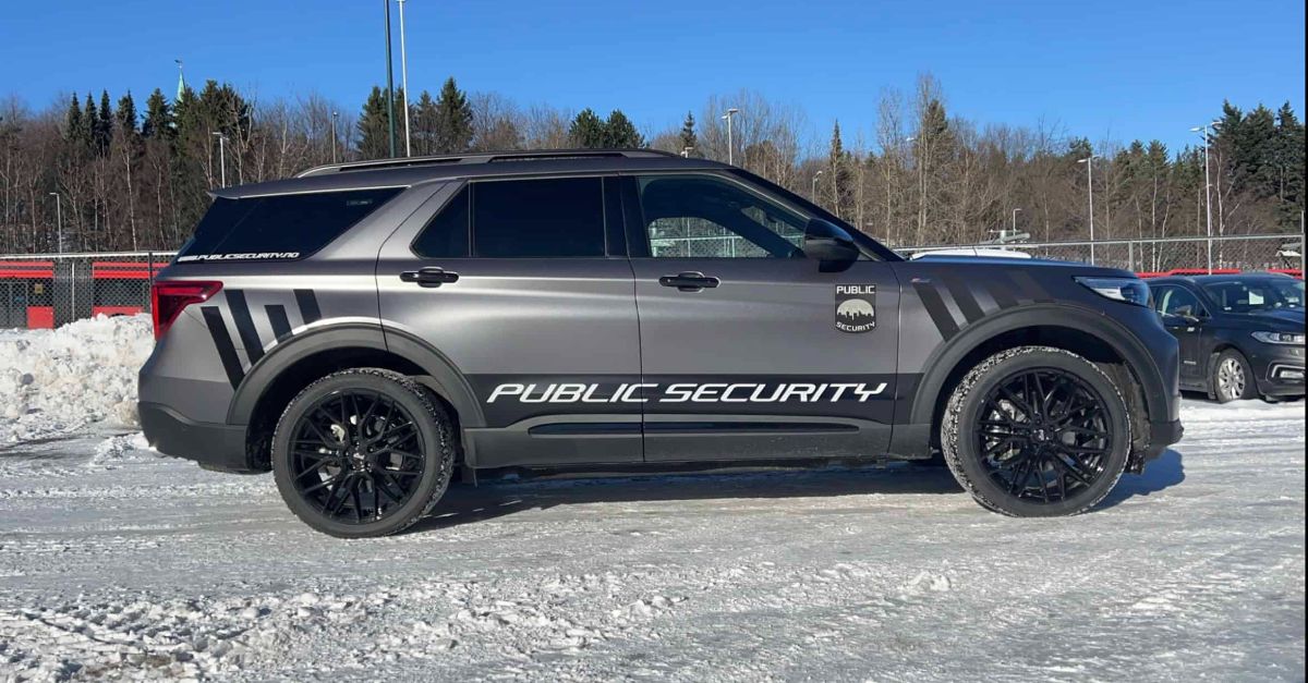 Vakt- og sikkerhetstjenester | Public Security AS