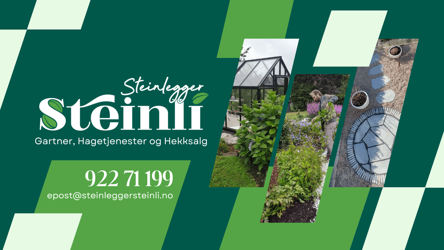 Hekksalg — Steinlegger Steinli