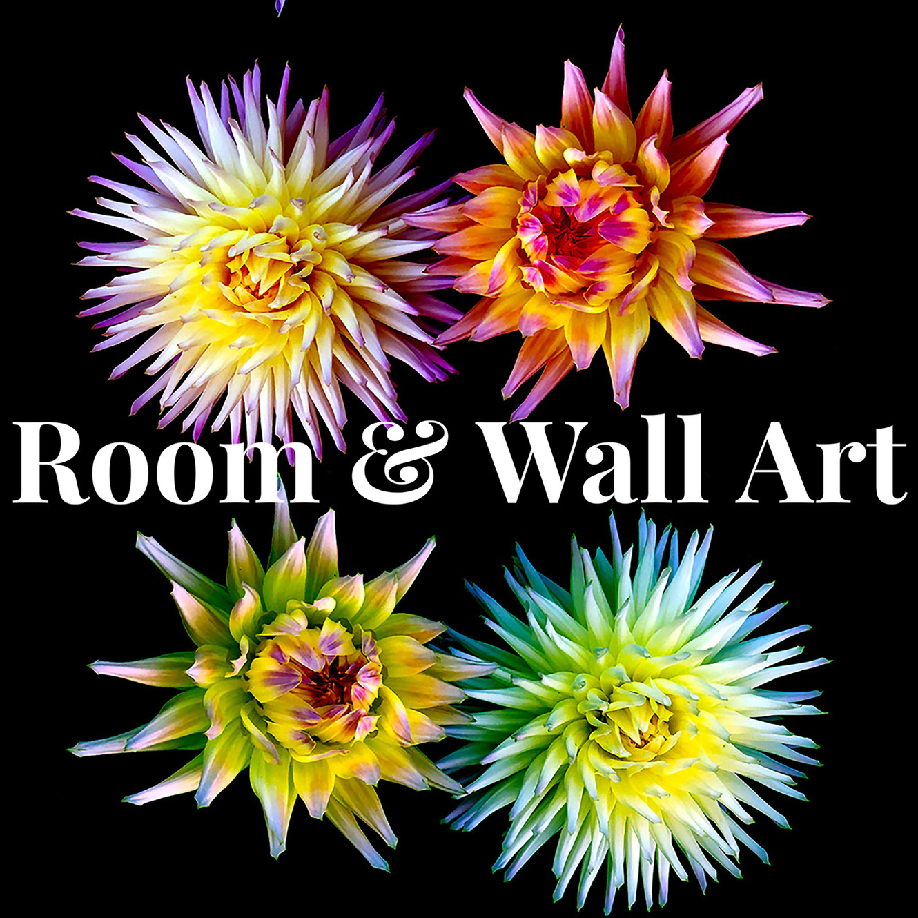 HOME | Room & Wall Art