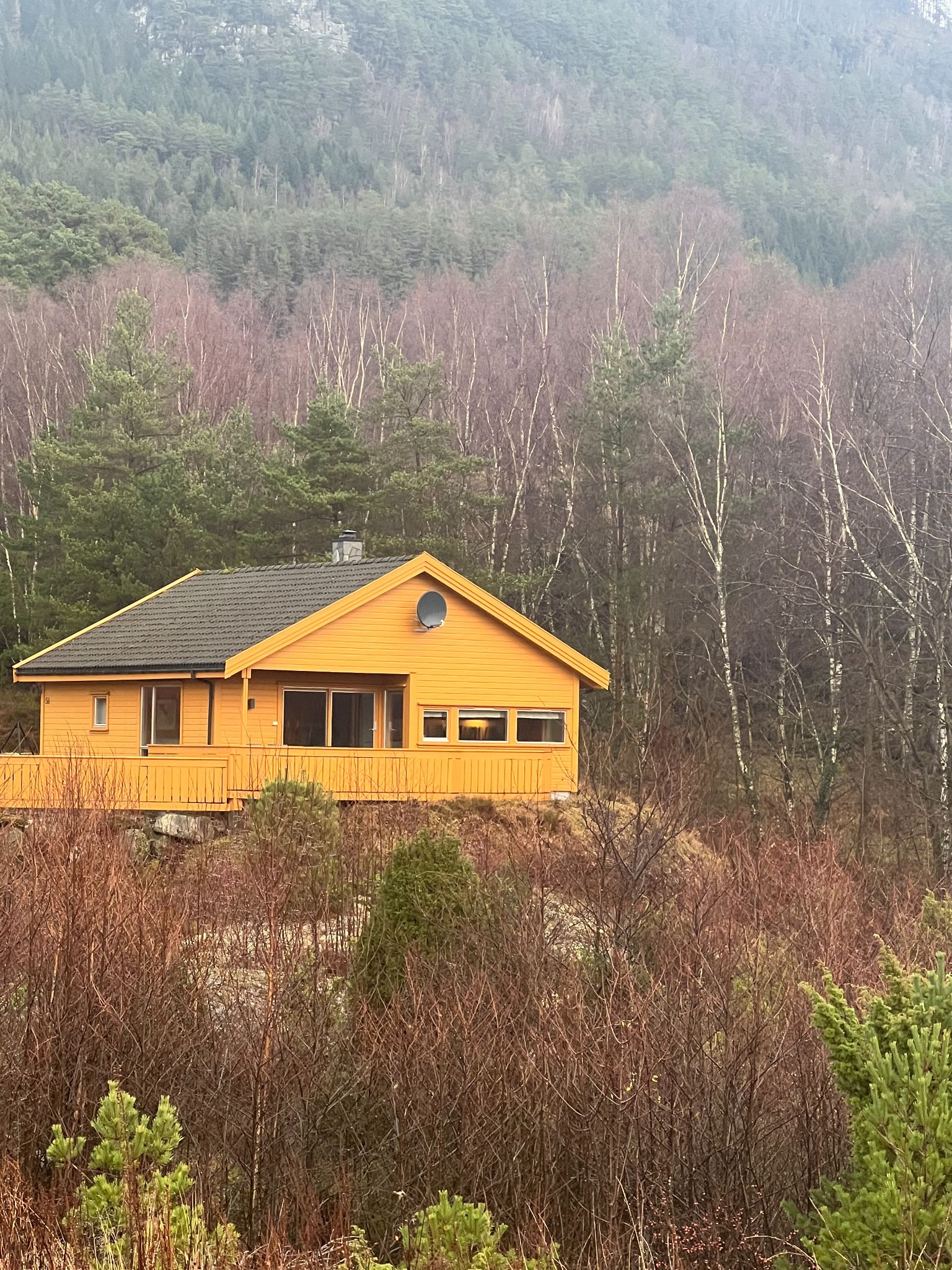 velferdsforeningen.no