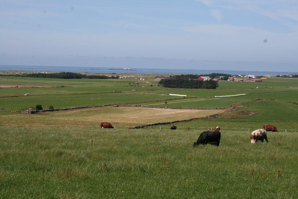 Forsiden - Klepp Høyre