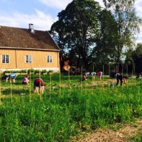Husebyjordet Andelslandbruk