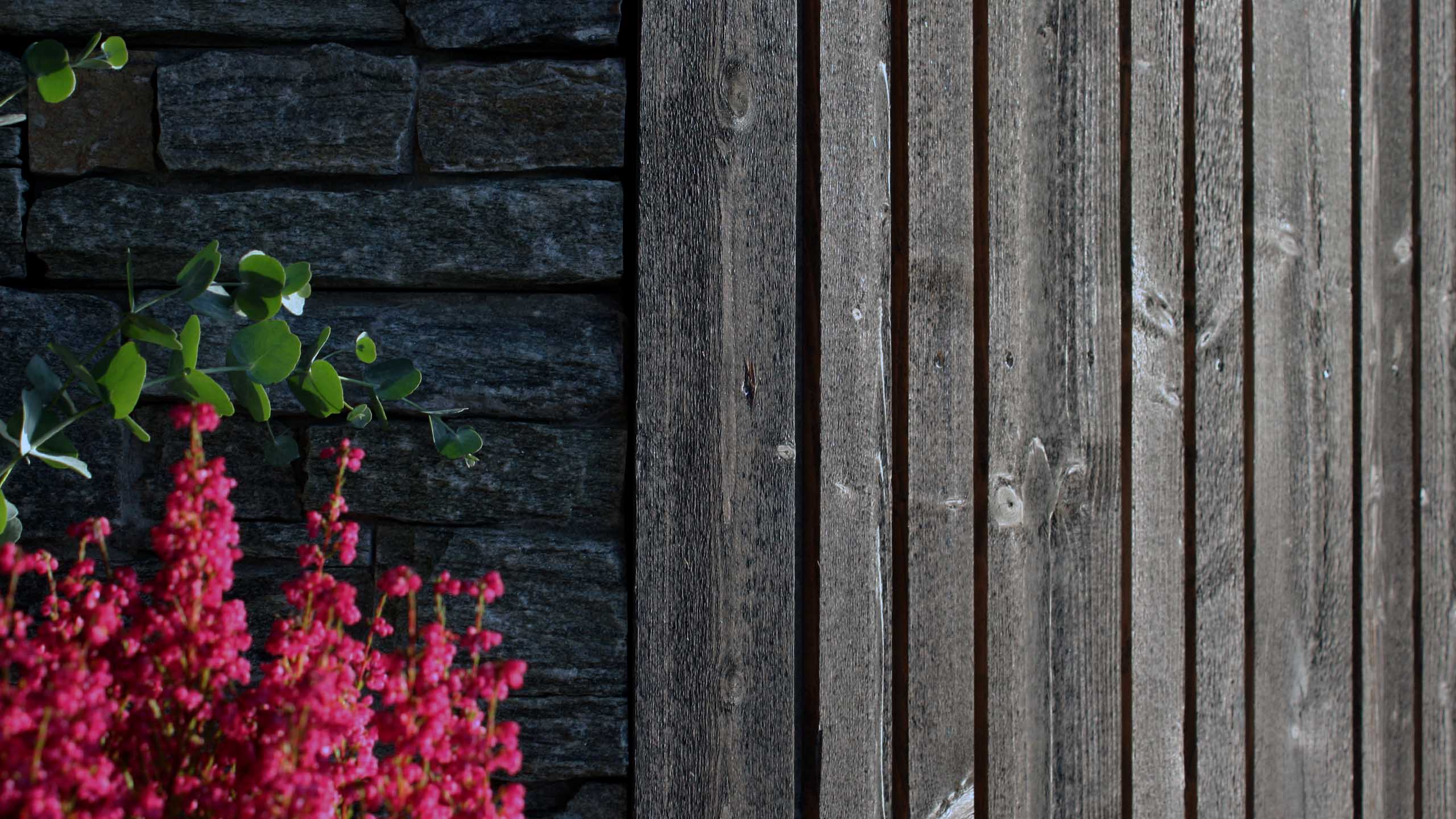 Møretyri - Tjære- & linoljeprodukter - For treverk og mer