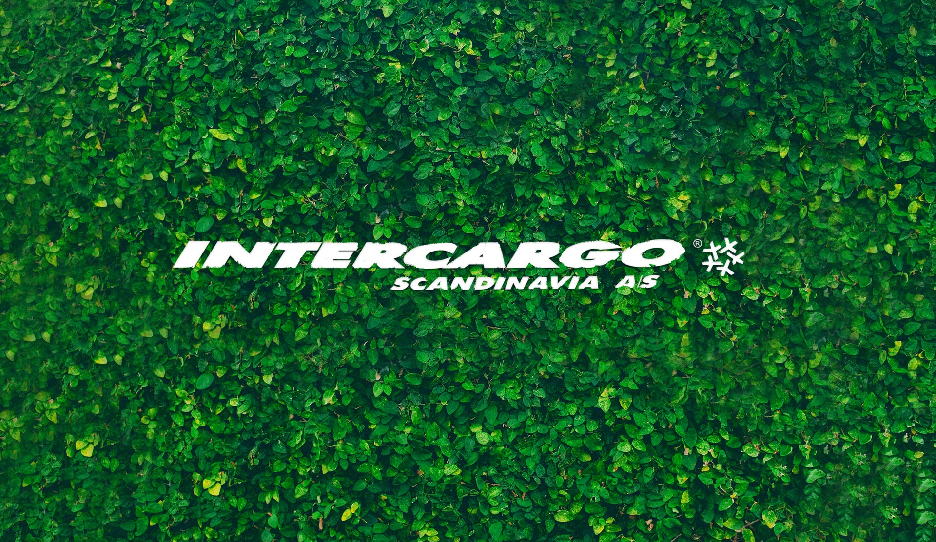 Intercargo Scandinavia A/S - Internationalt transportfirma