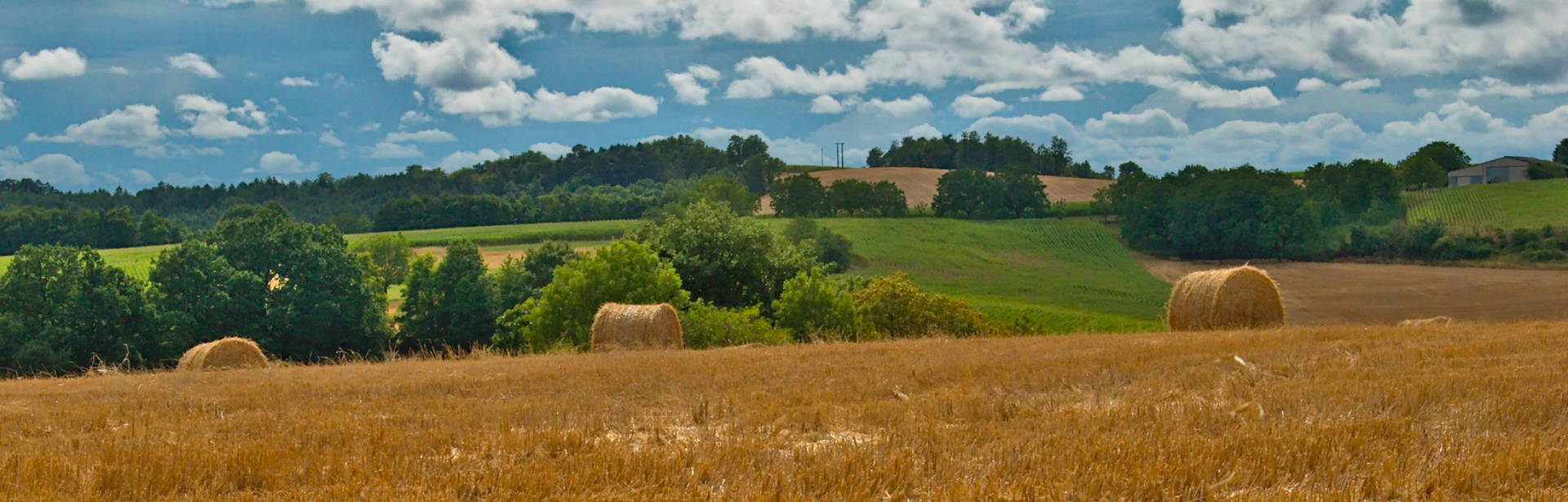 Hovedside - Jordvernforeningene i Norge