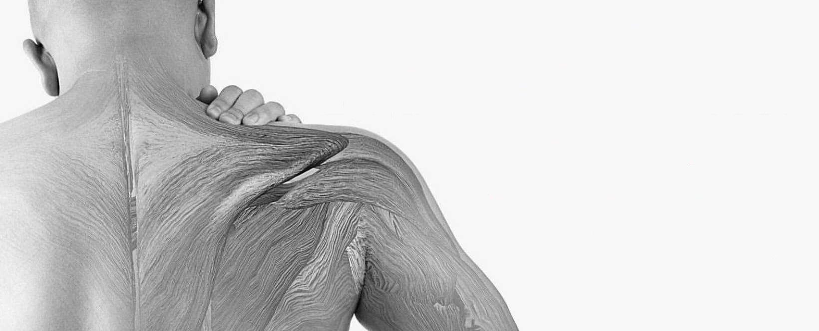 Kiropraktor der du bor - Kiropraktorgruppen