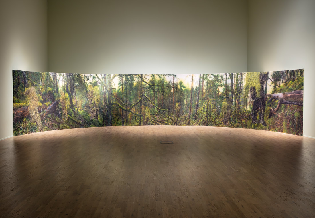 LINDA SOH TRENGEREID