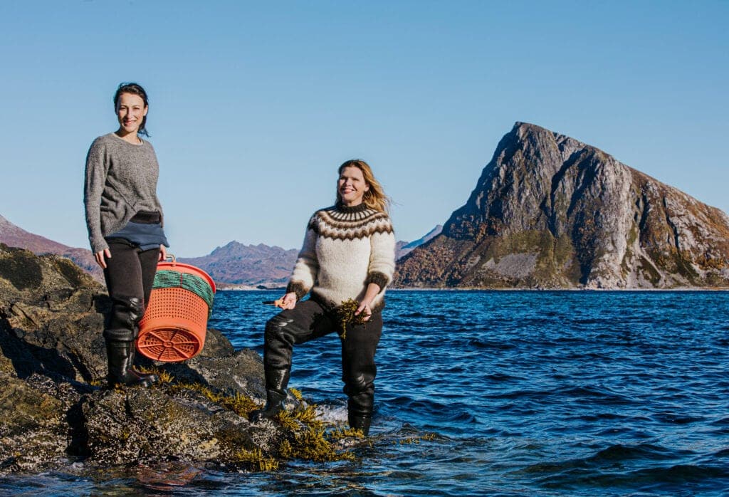Lofoten Seaweed - From Lofoten, weed love.