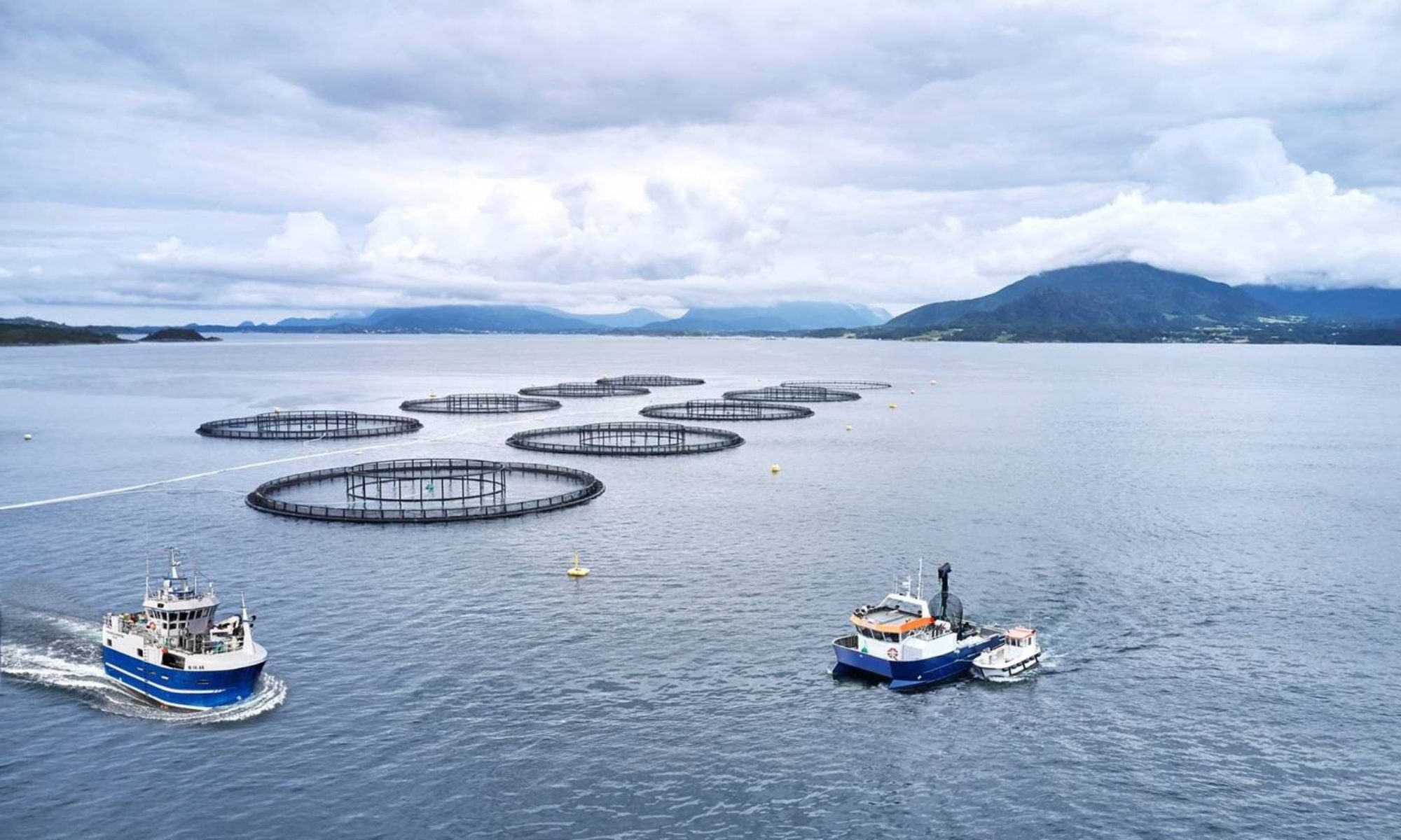 Om oss - Langset Maritime AS