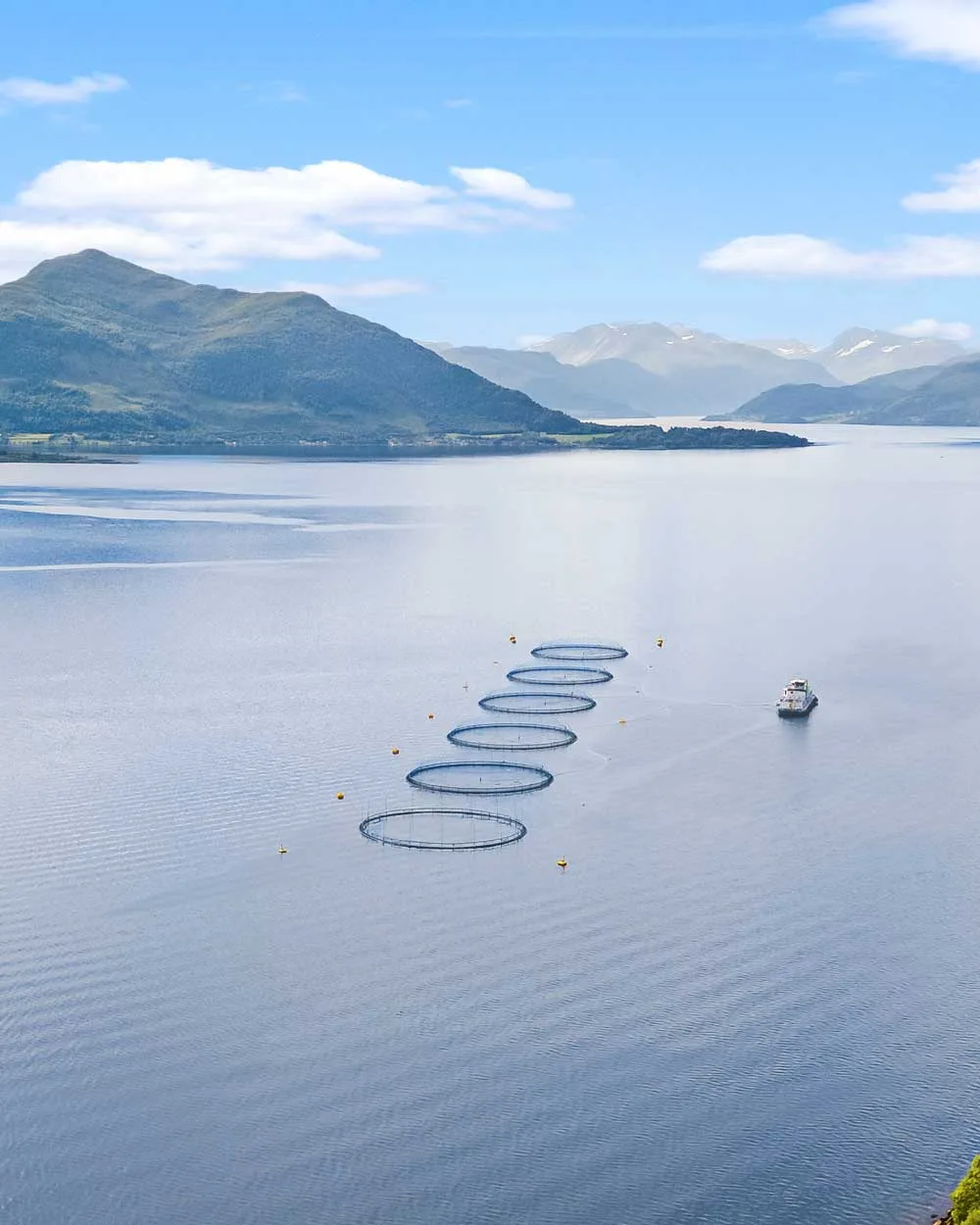 Måsøval – Ledende innen bærekraftig lakseoppdrett, med røtter i norsk kystkultur og med fokus på kvalitet, miljø og fiskevelferd.