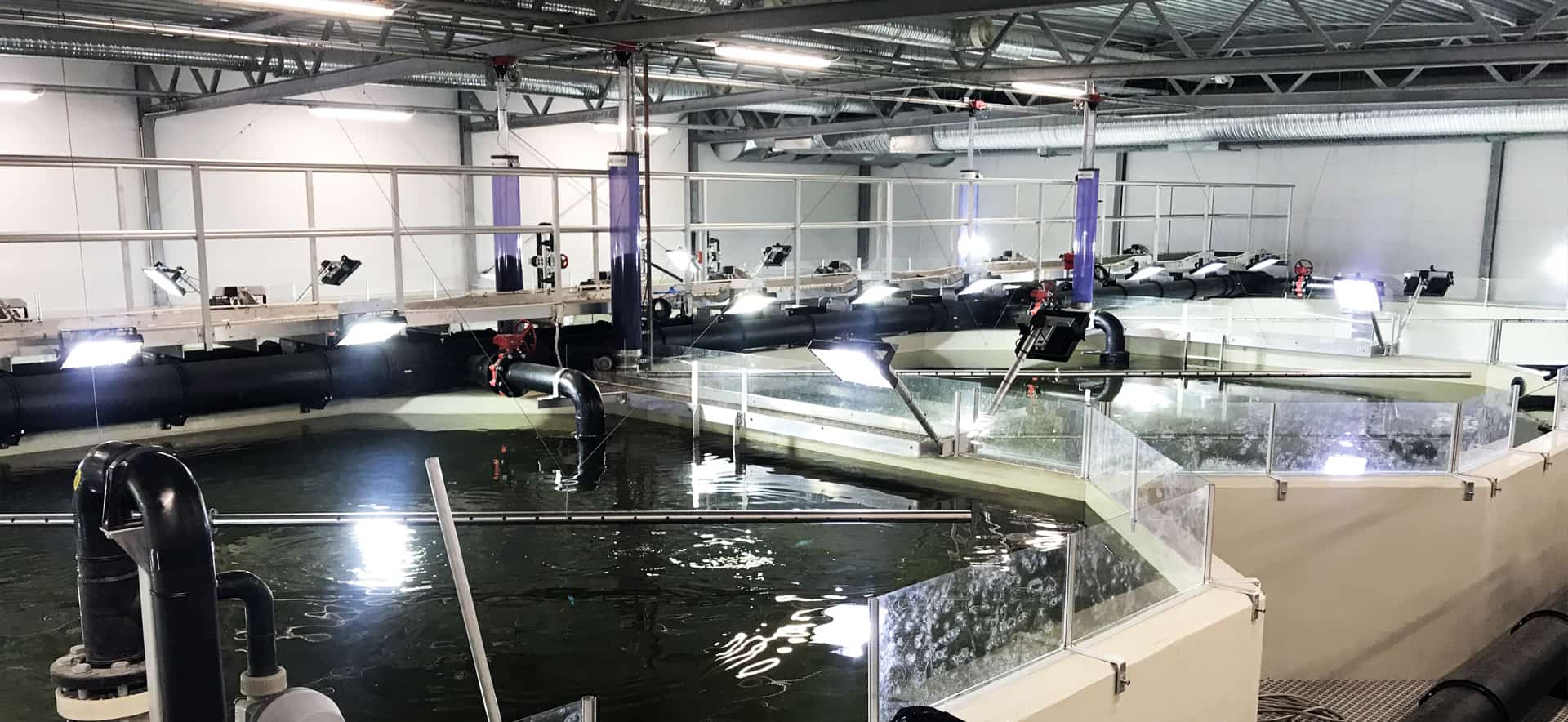 Recirculating Aquaculture Systems Manufacturing & Supply