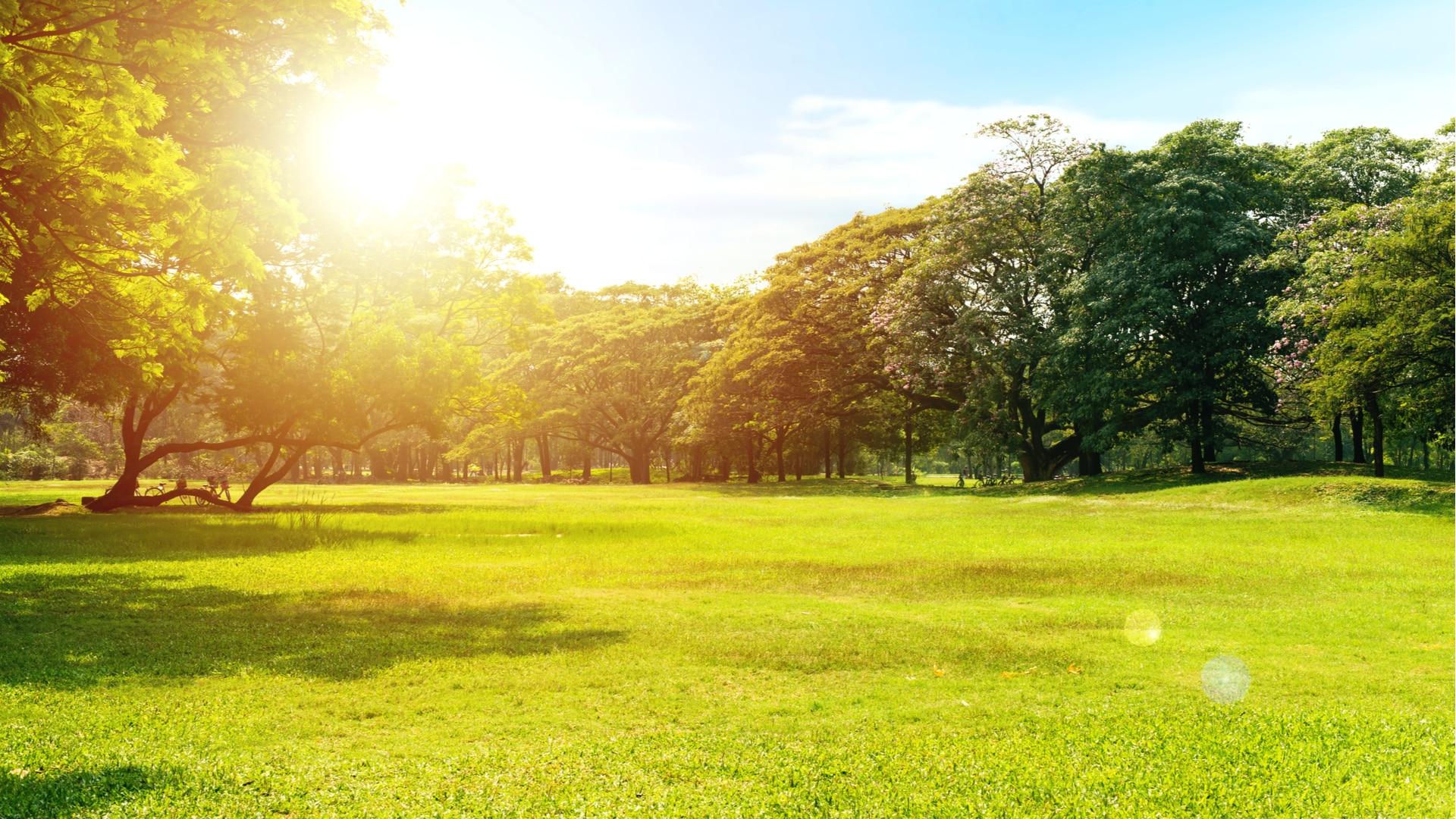 Rokke Hageservice AS