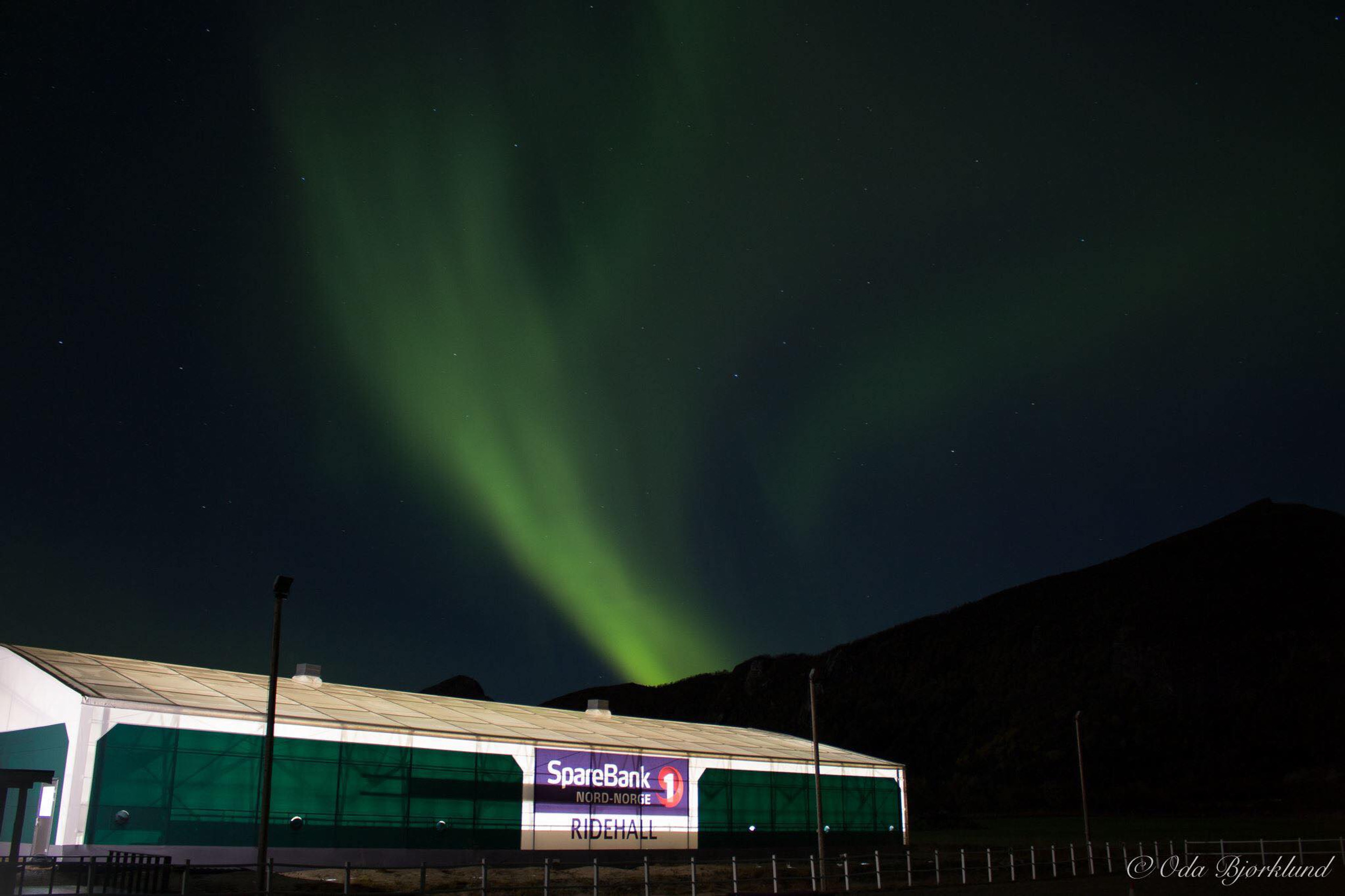 Meløy Hestesportlag