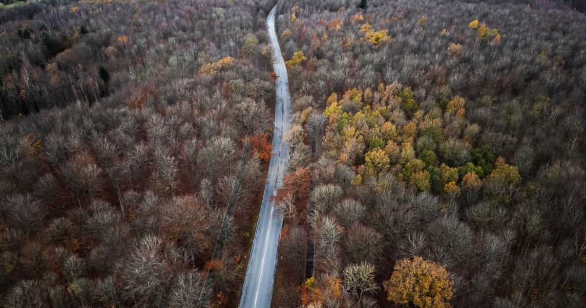 Together, we shape a sustainable and liveable world