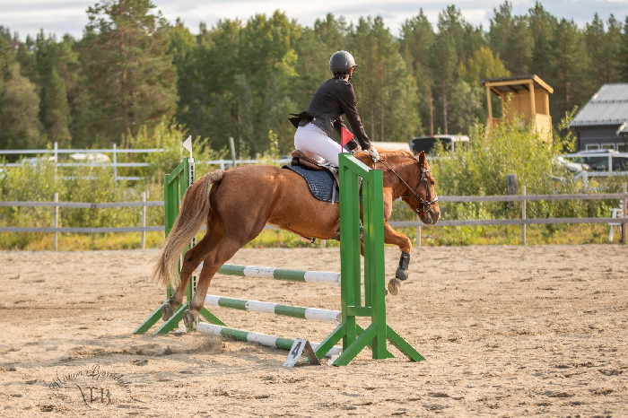 Midt-Troms og Omegn Hestesportsklubb