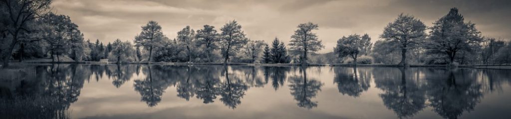 Velkommen! - Norsk Forening for Psykosynteseterapeuter