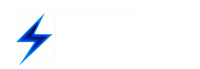 nico ibaceta 