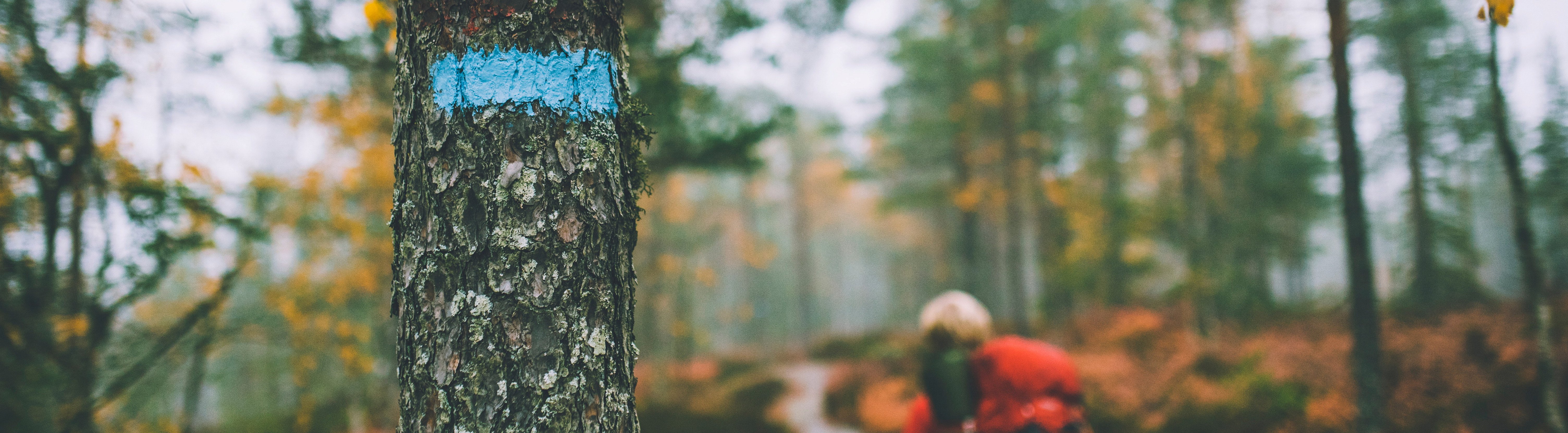 Turkameratene Nittedal Turlag  - DNT