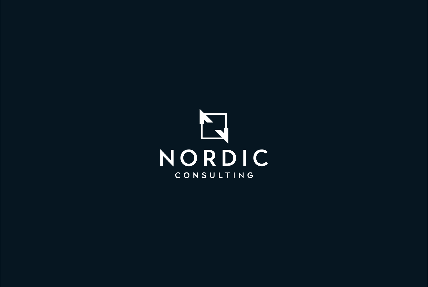 Nordic Consulting - Realize Your Potential in the United States