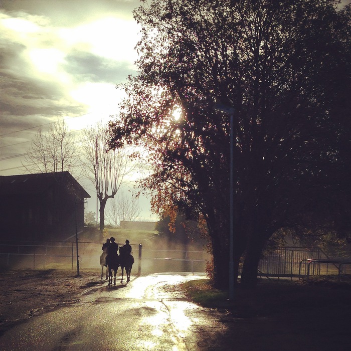 Ovrevoll-trenerforening