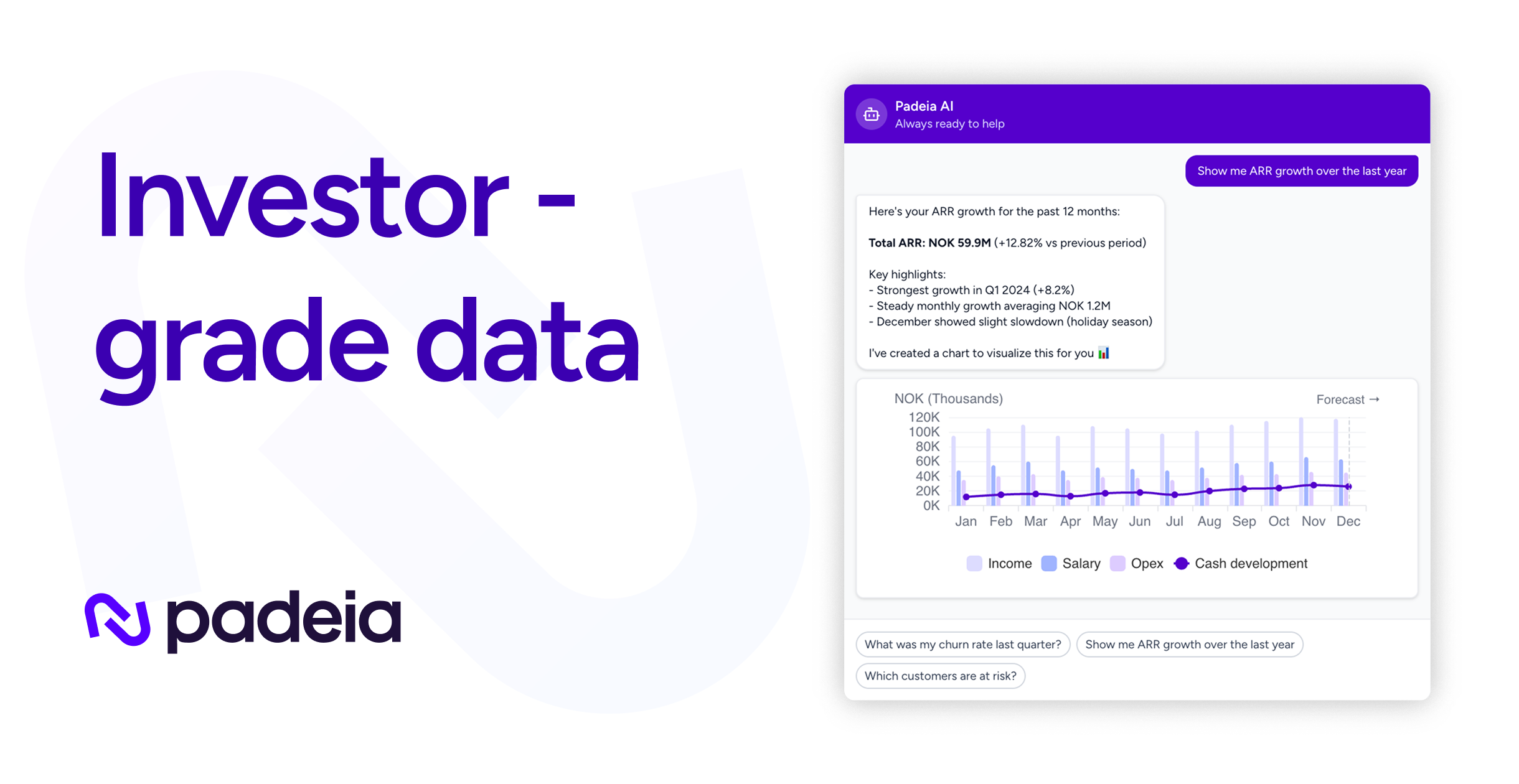 Padeia - Investor-Ready Data. From Day One.