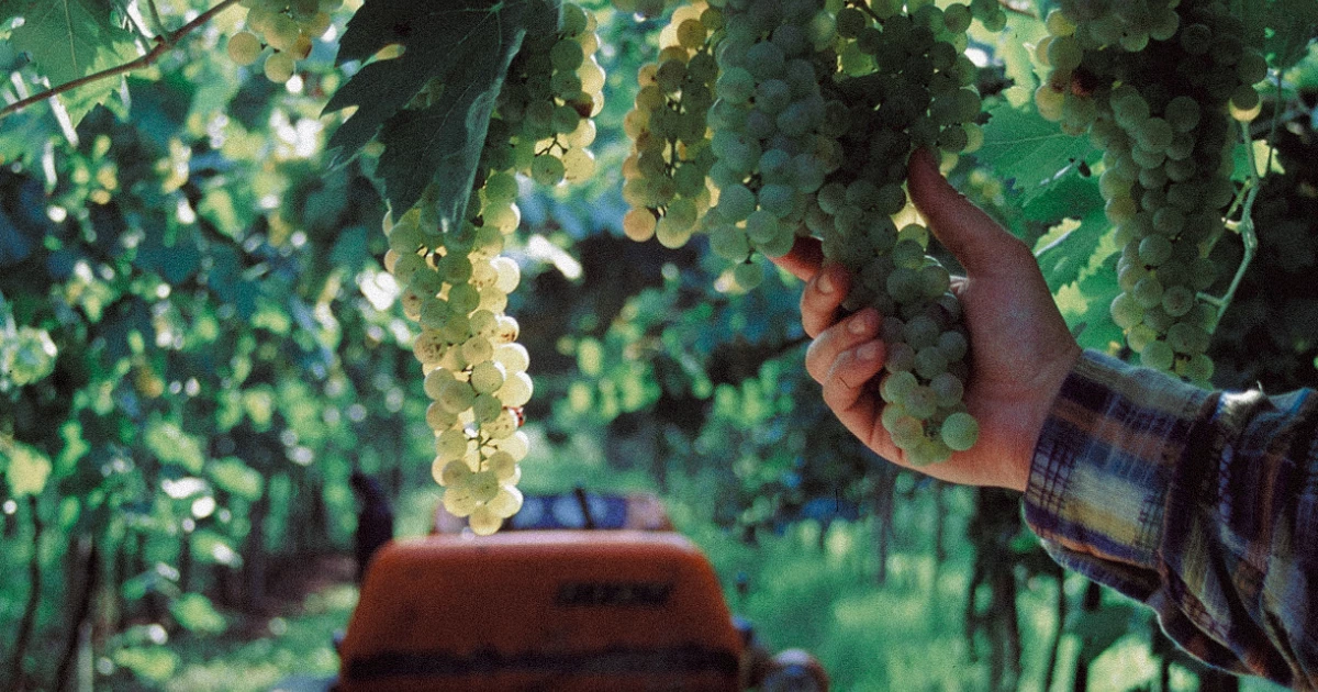 Velkommen til Publico