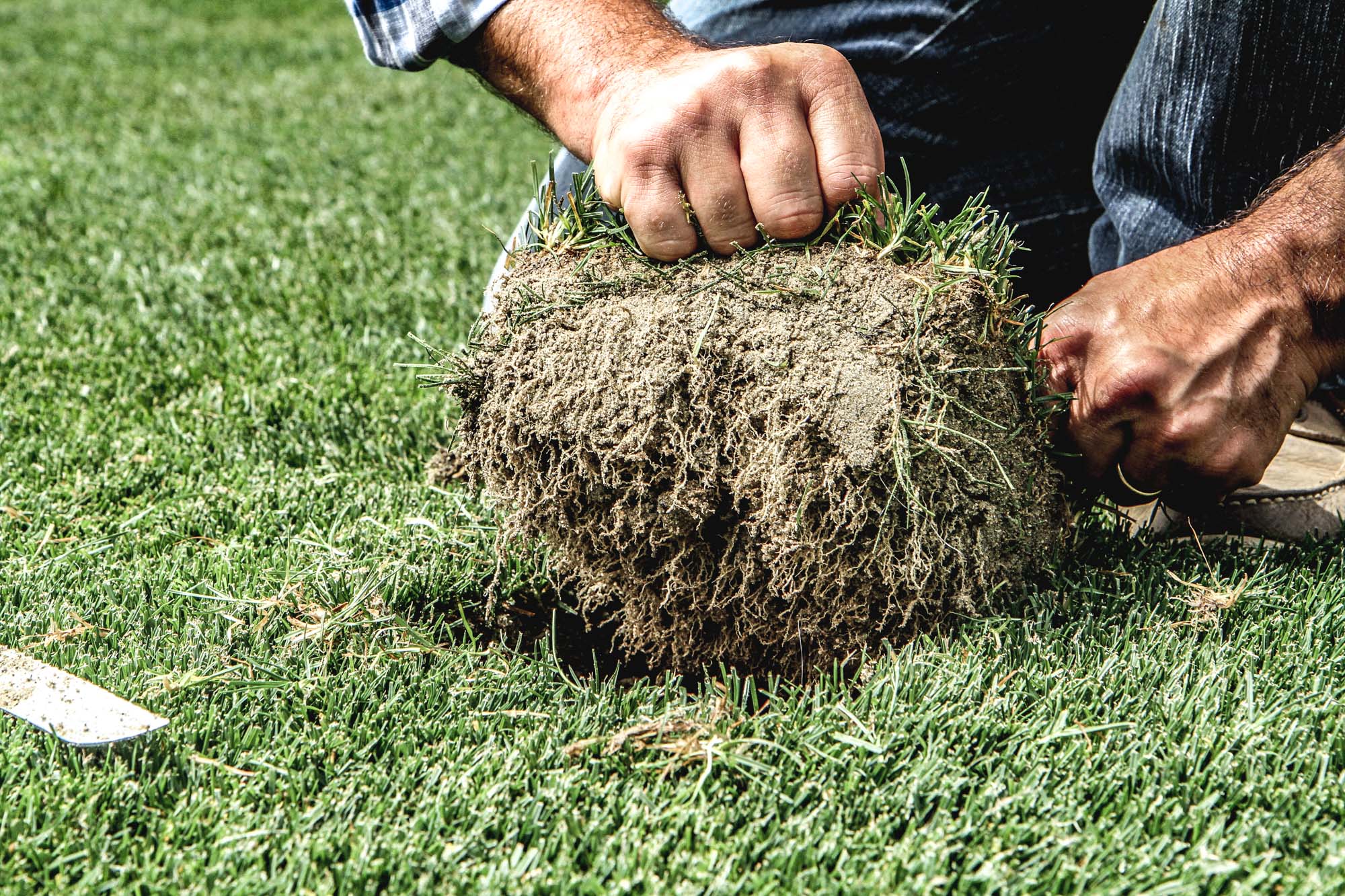 Rappo s.r.l. - The Green Global Partner