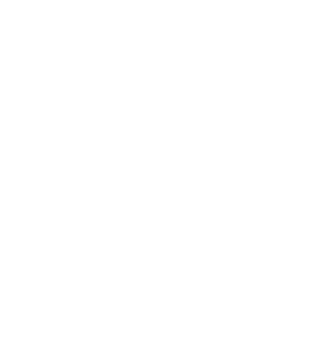 IL REIN