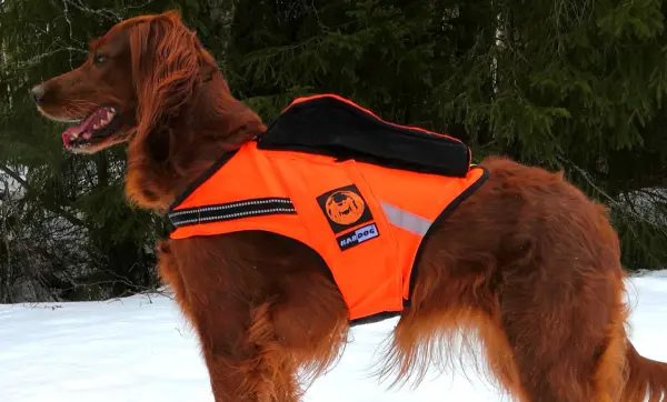 Hjem - Sisu Villmark