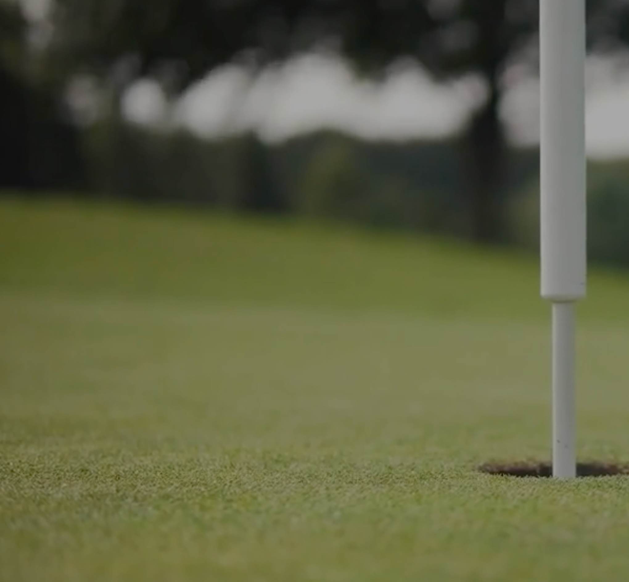 SKAR - Vi gjør deg synligere