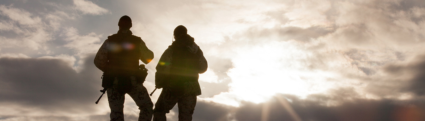 sor-gudbrandsdal.nvio.no