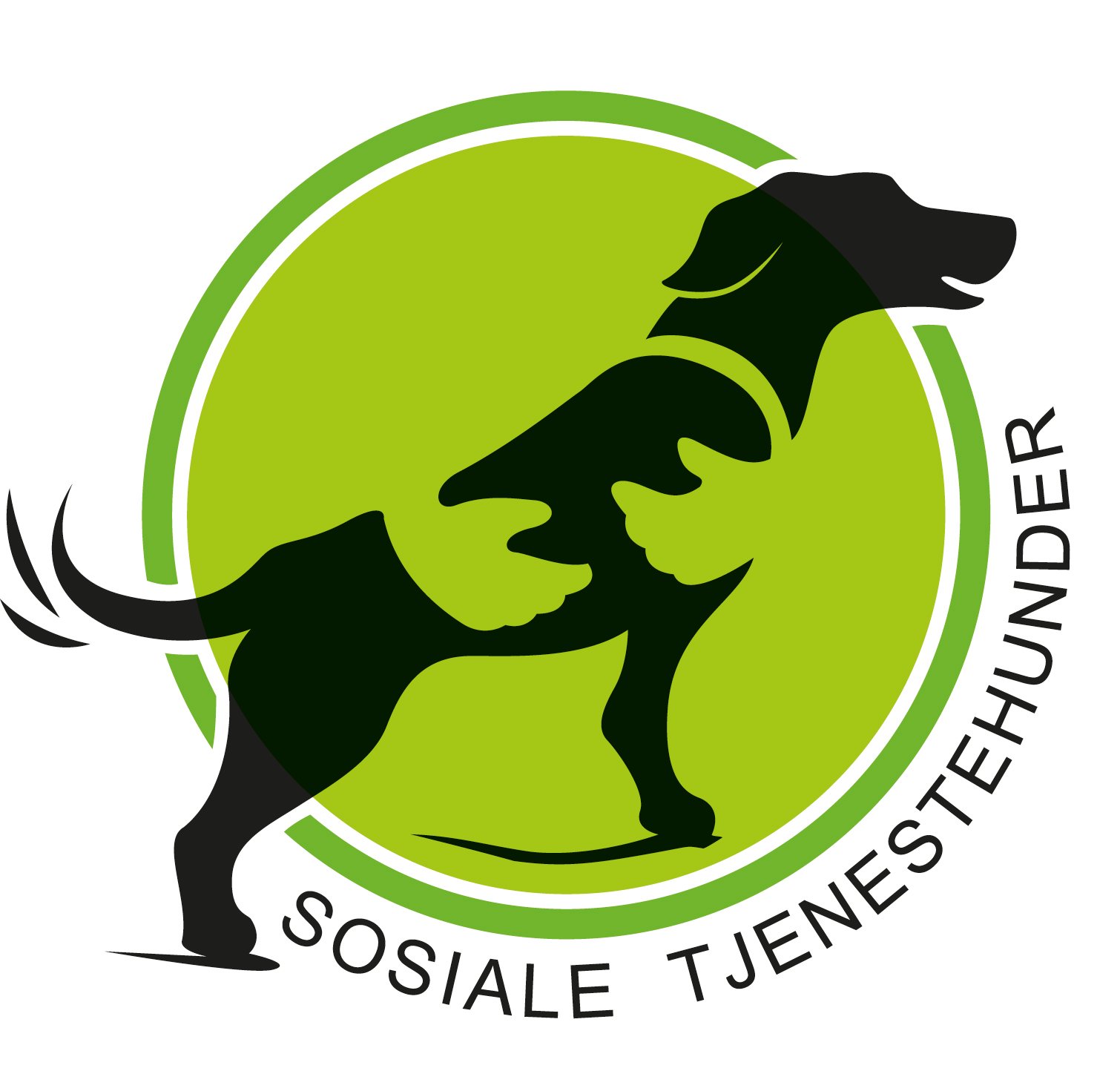 Sosiale tjenestehunder