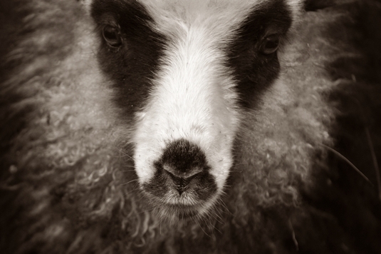 Stensvik gård<br />