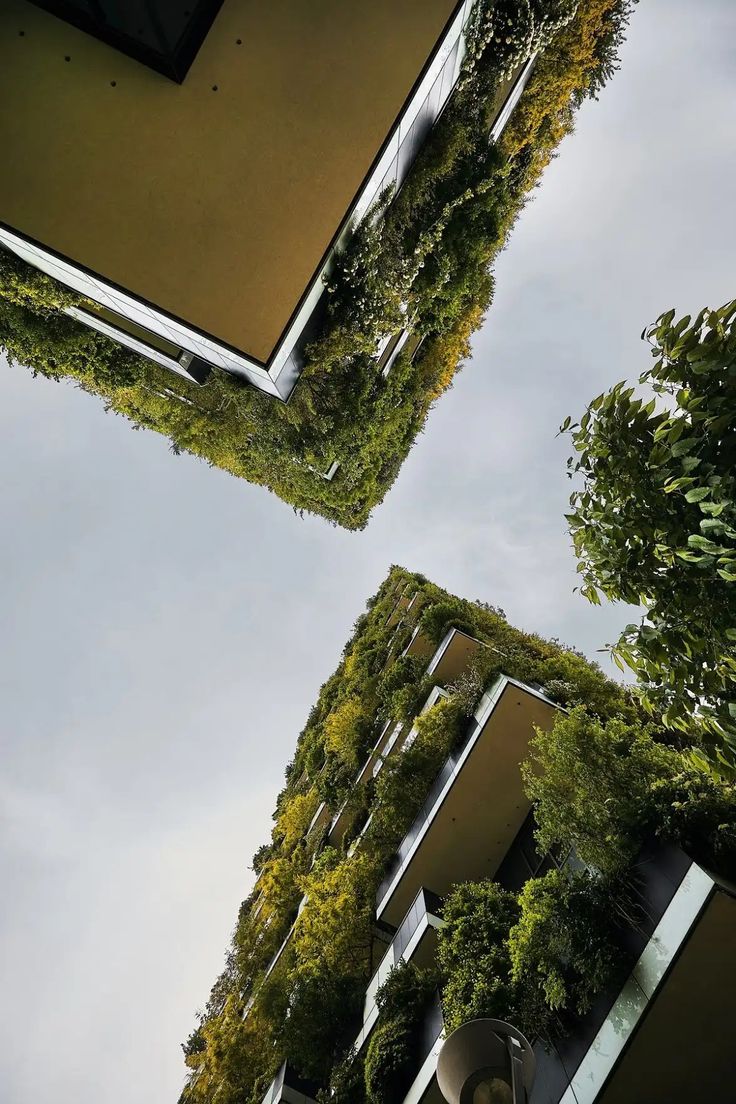 Struktura Bygg - Professional Construction Services