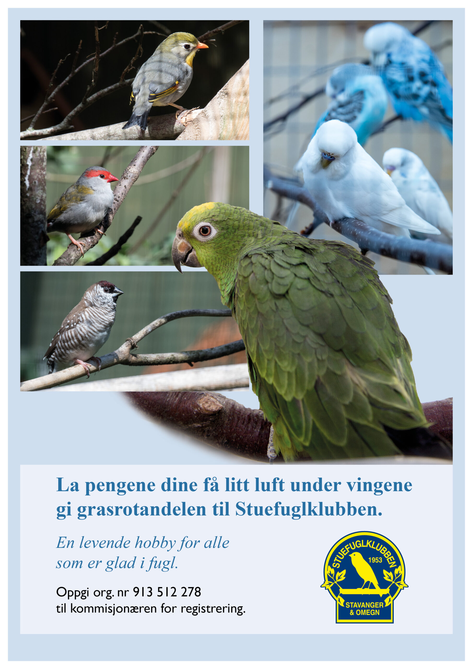 Stuefuglklubben Stavanger og omegn