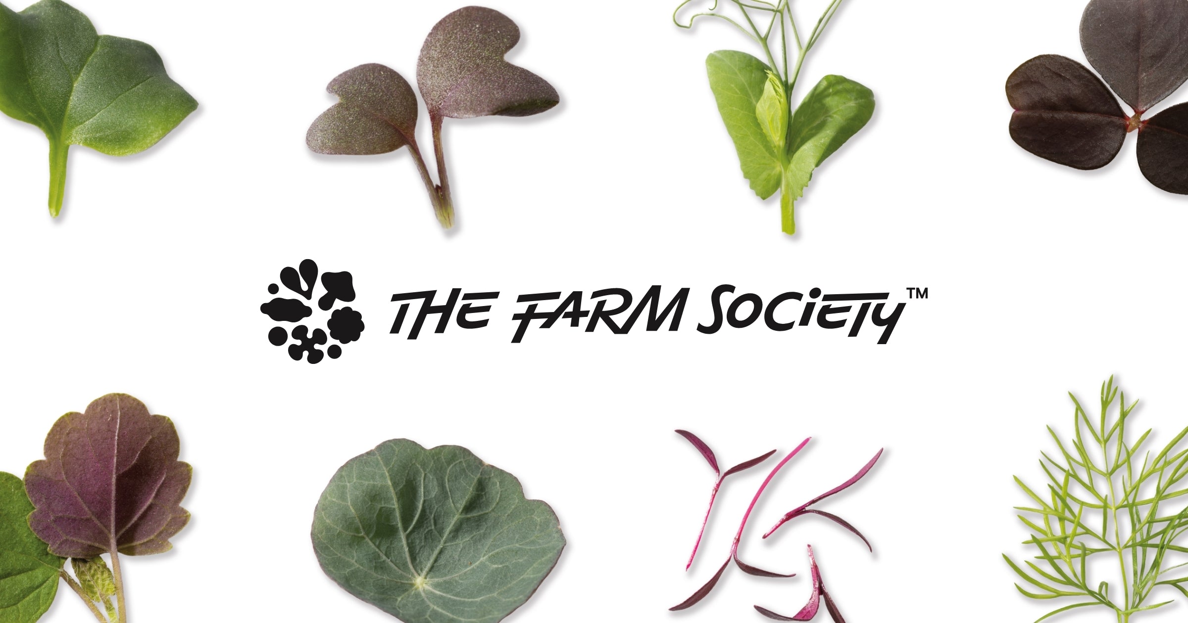 The Farm Society™