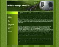 Trondheim Internasjonal Fotballklubb, 21.mars 2007 - Velkommen!