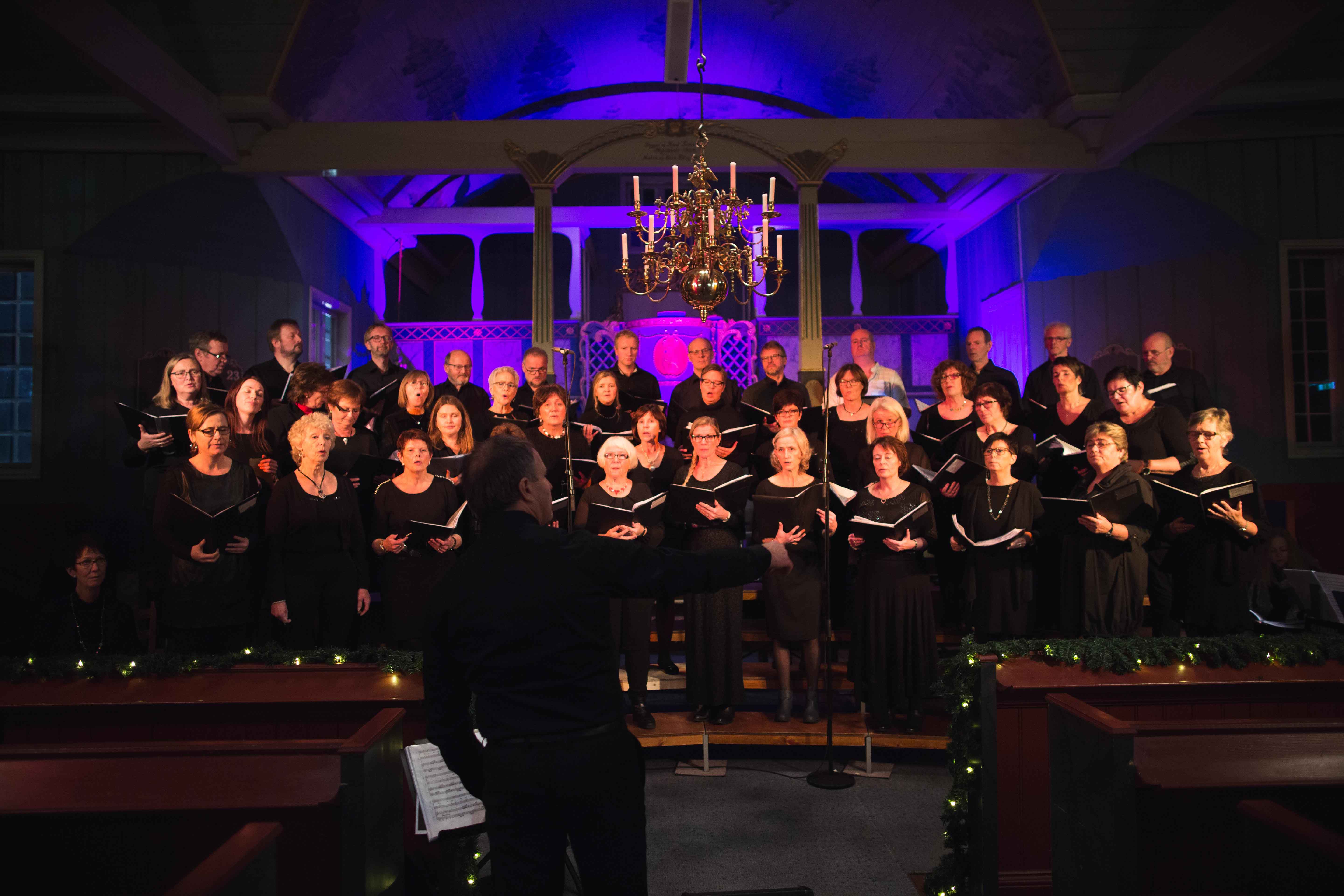 Vegår Vocale – blanda kor på skogbygda Vegårshei i Aust-Agder