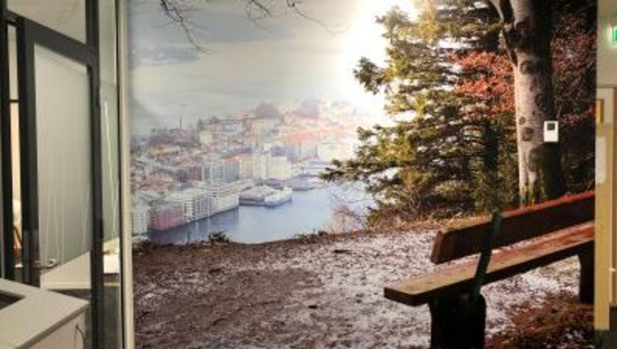 Forsikring i Bergen og Vestland | Representant for If Skadeforsikring | Vest Forsikring