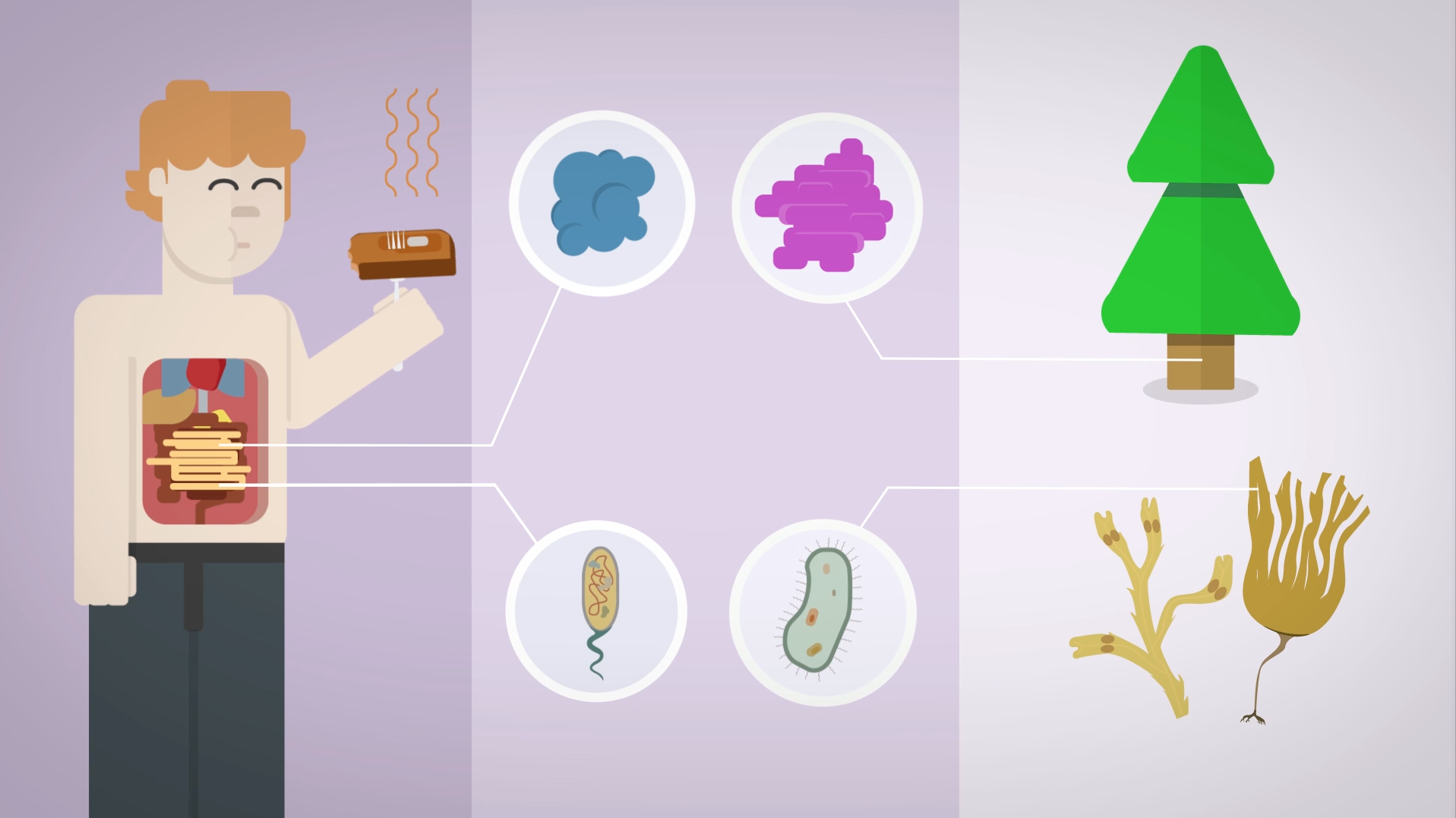 Animasjonsvideo | Forklaringsvideo